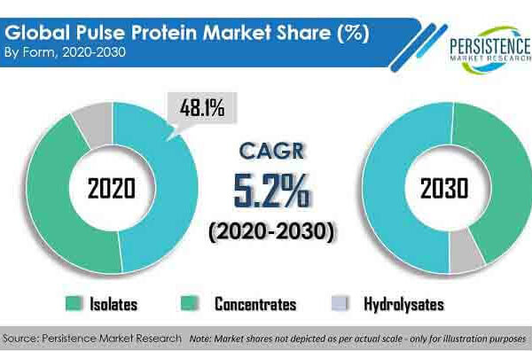 Pulse Protein Market Growth to Surge Owing to Increasing Adoption by End-use Applications