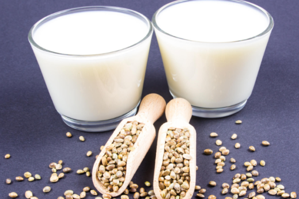 Demand for Hemp Seed Milk Market to Rise Significantly from Key End-use Industry Sectors