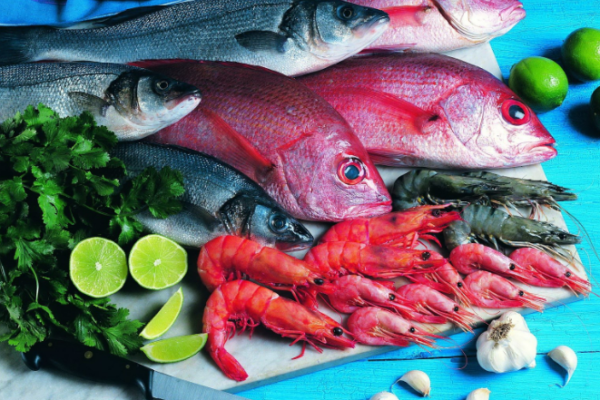 The Fish Meal Alternative Market: Trends, Drivers, and Challenges