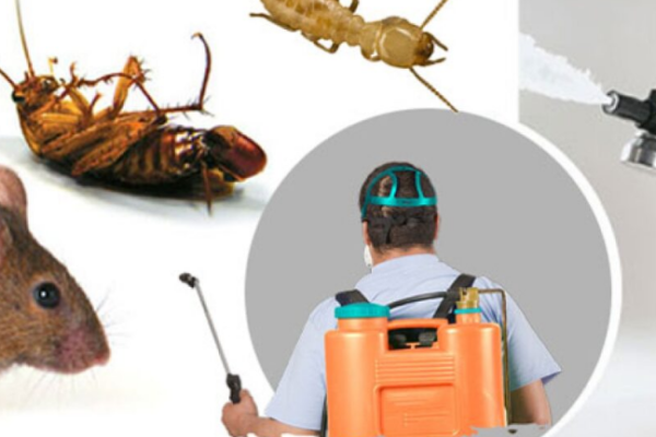 Pest Control Products and Services Market: Growing Demand for Environmentally Friendly Solutions