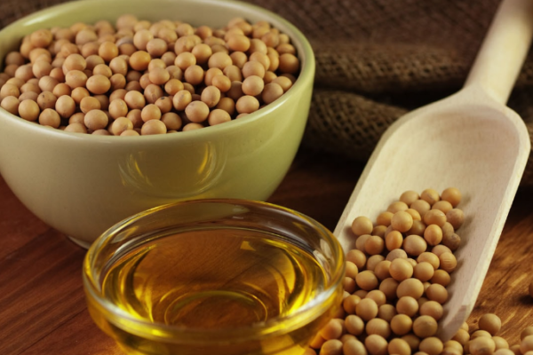 The Versatile Ingredient: Exploring the Diverse Applications of Lecithin in the Global Market