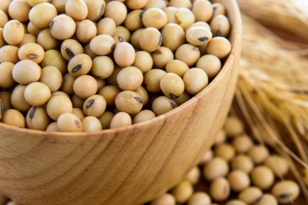 Roasted Soybean Market: A Growing Trend Towards Health and Sustainability