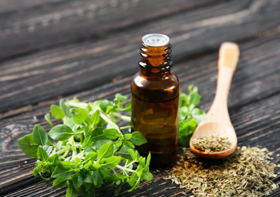 Exploring the Growth and Potential of the Oregano Oil Market: Trends, Opportunities, and Challenges